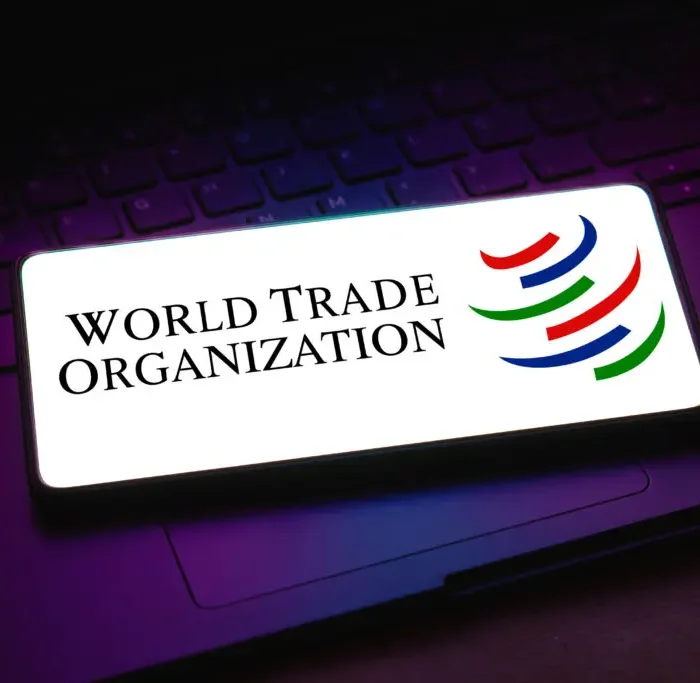wto-dameluthas