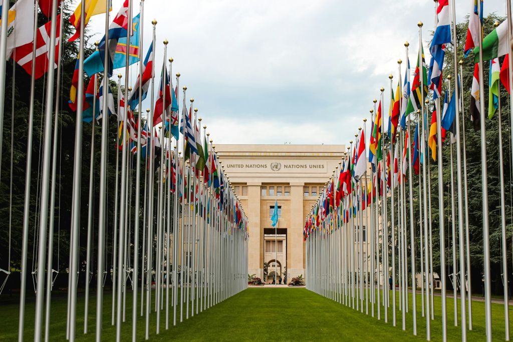 UN Portfolio: Global Cloud Transformation & FOBOS Innovation 5 flags on green grass field near brown concrete building during daytime